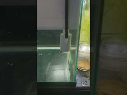 JBA Fry Tub